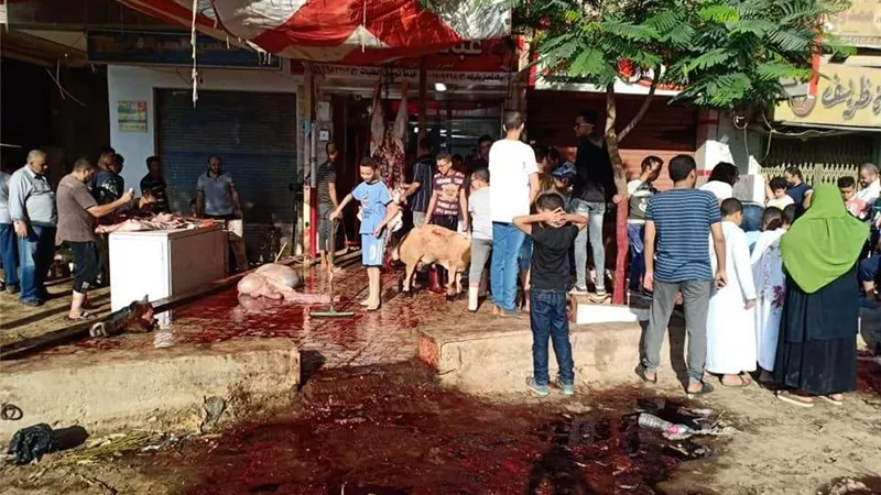بالصور.. مواطنو العمرانية يواصلون ذبح لحوم الأضاحي في أول أيام عيد الأضحى