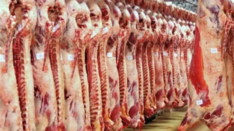 الخدمات البيطرية: المجازر الرسمية شهدت ذبح 3715 أضحية مجانًا