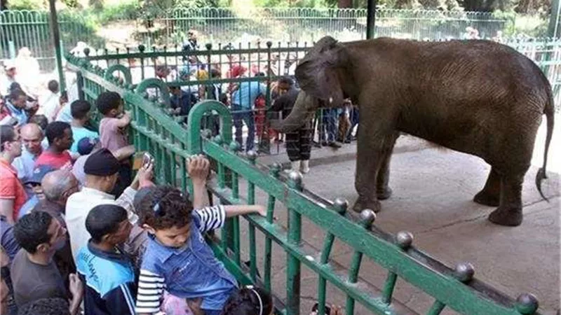 40 ألف زائر لحديقة الحيوان في أول أيام عيد الأضحى