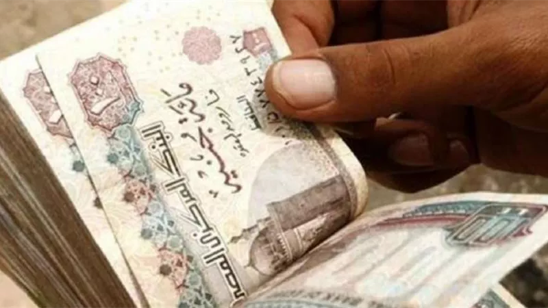 بزيادة 200 جنيه للفرد.. برلماني يزف بشرى بشأن البطاقات التموينية