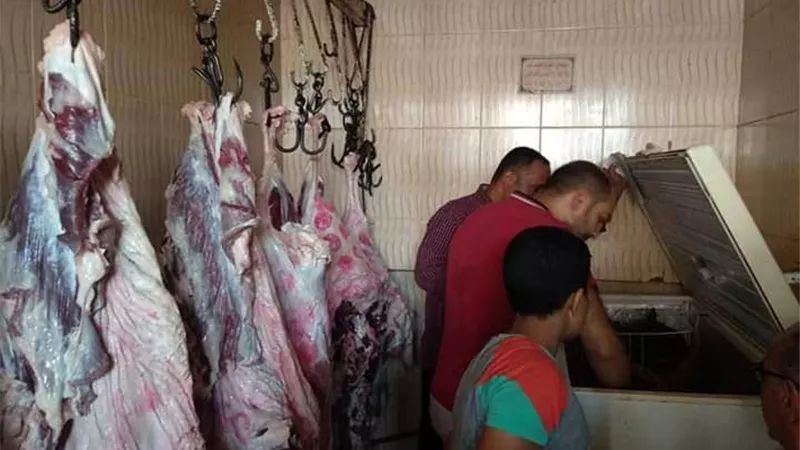 صحة بني سويف تشن حملات على المنشآت الغذائية والمطاعم