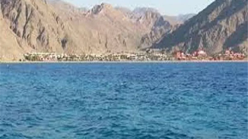 وكالات السفر بإيطاليا: إقبال متزايد من السياح على شواطيء البحر الأحمر