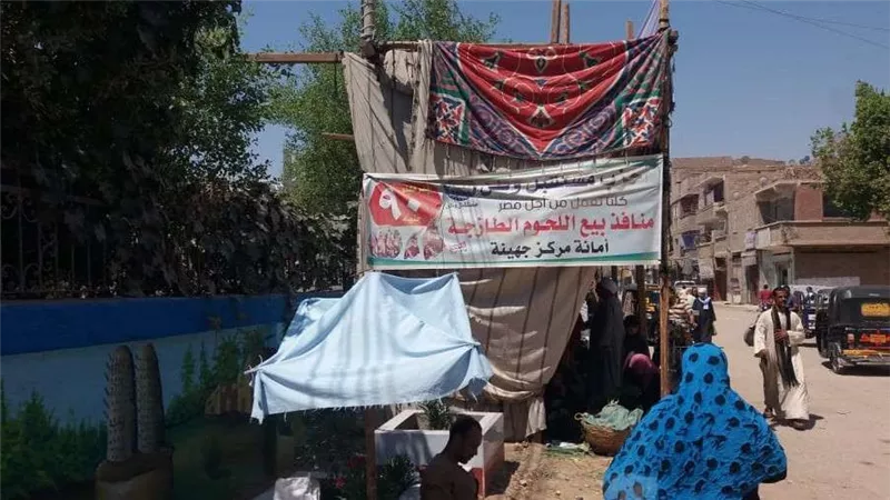 بالصور.. 