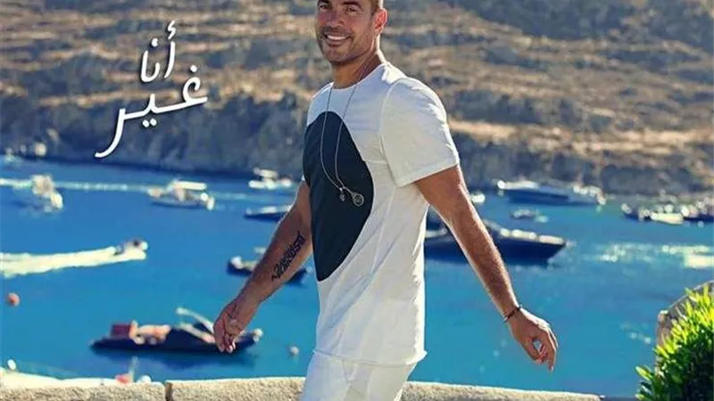 ظهور دينا الشربيني وسيلفي الشاب .. أبرز أحداث حفل عمرو دياب بمدينة العلمين