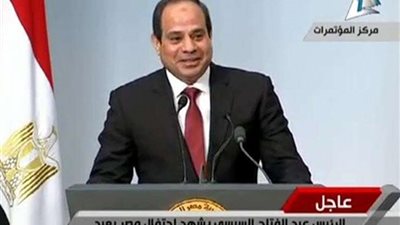 السيسي يجتمع برئيس 