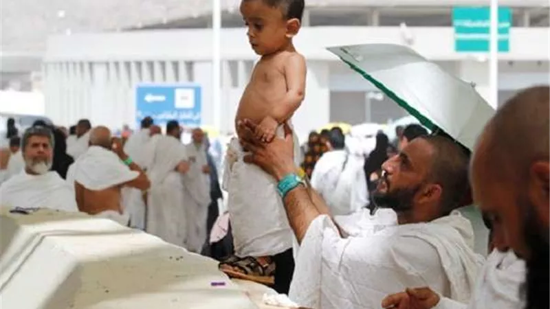 تضامن القليوبية: عودة 360 حاجًا من حجاج الجمعيات بالمحافظة