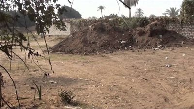 محافظة الجيزة: حملات مكثفة لإزالة التعديات على أراضي الدولة الغير مقننة