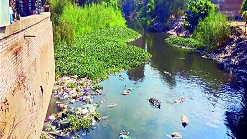 التنمية المحلية: تنفيذ مشروع تطوير مصرف كتشنر بتمويل 481 مليون يورو