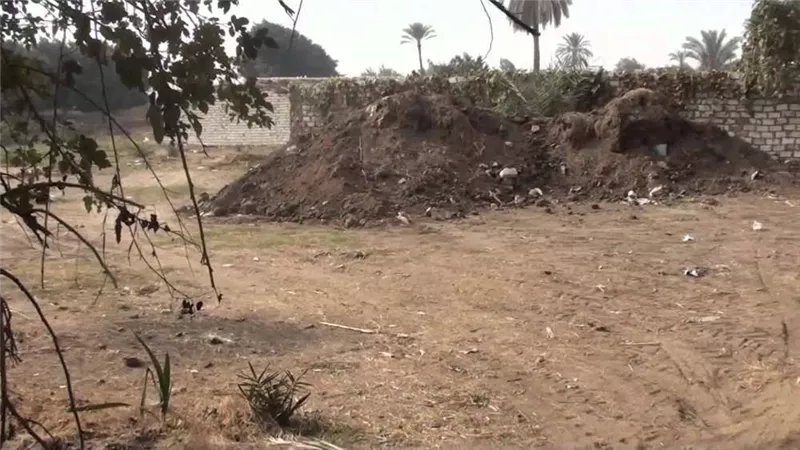 محافظة الجيزة: حملات مكثفة لإزالة التعديات على أراضي الدولة الغير مقننة