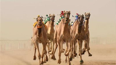 السعودية على عتبة 