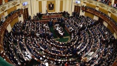 برلماني: التنمية لا تتحقق بدون استقرار وأمن