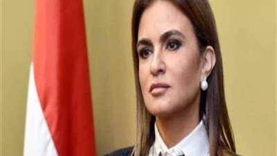 وزيرة الاستثمار تجتمع برئيس بنك التنمية الإفريقي لبحث سبل التعاون