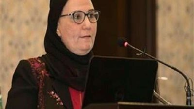 نائب وزير التضامن: مكافآت لموظفي الوحدات الاجتماعية في قانون الدعم الموحد