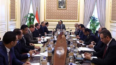 رئيس الوزراء يوجه باستبدال 