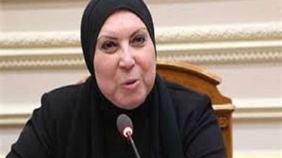 نيفين جامع: 70% من قائمة واردات مصر يمكن تصنيعها محليا