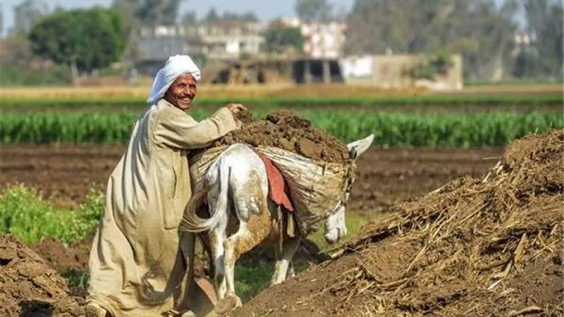 قبل عيدهم.. كارت الفلاح الذكي يقضي على مشاكل الدعم