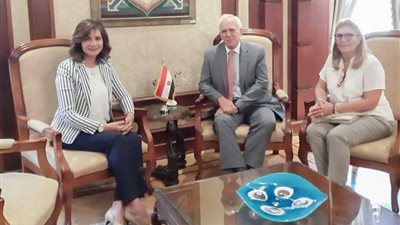 لجنة شئون الهجرة: نسعى لتوفير فرص عمل للشباب وفقًا لآليات مؤمنة