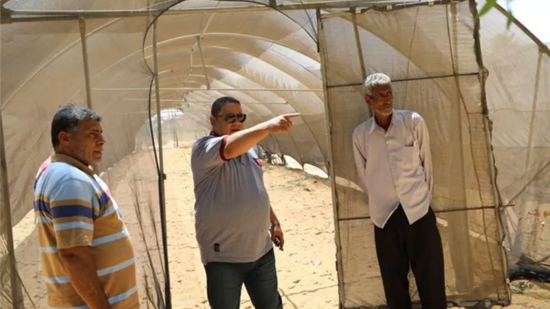صوب زراعية جديدة بالخارجة الزراعية في الوادي الجديد