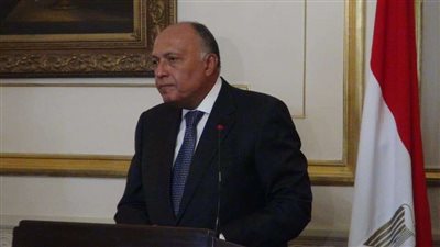 وزير الخارجية: يجب الحفاظ على وحدة سوريا وسلامتها الإقليمية