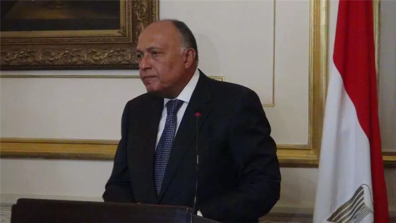 وزير الخارجية: يجب الحفاظ على وحدة سوريا وسلامتها الإقليمية