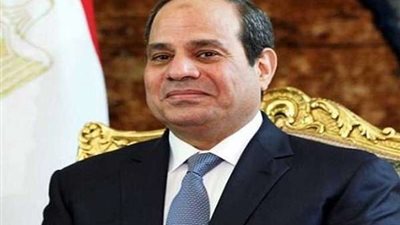 السيسي: تكلفة الإرهاب لتدمير الدول ليست مرتفعة