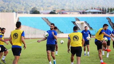الجالية العربية في 
