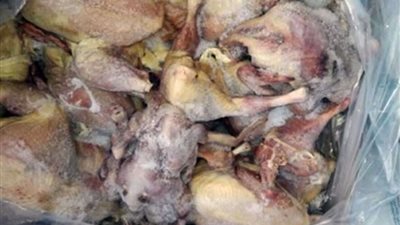 ضبط 24 ألف طن هياكل دواجن غير صالحة بـ 4 محافظات خلال 24 ساعة