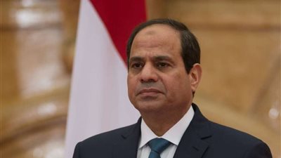 إعلامية: حملة الشائعات الموجهة ضد السيسي 