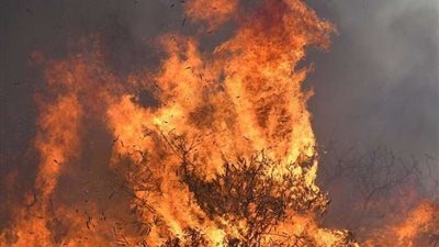 بالتزامن مع بدء العام الدراسي.. إغلاق آلاف المدارس في ماليزيا وأندونيسيا