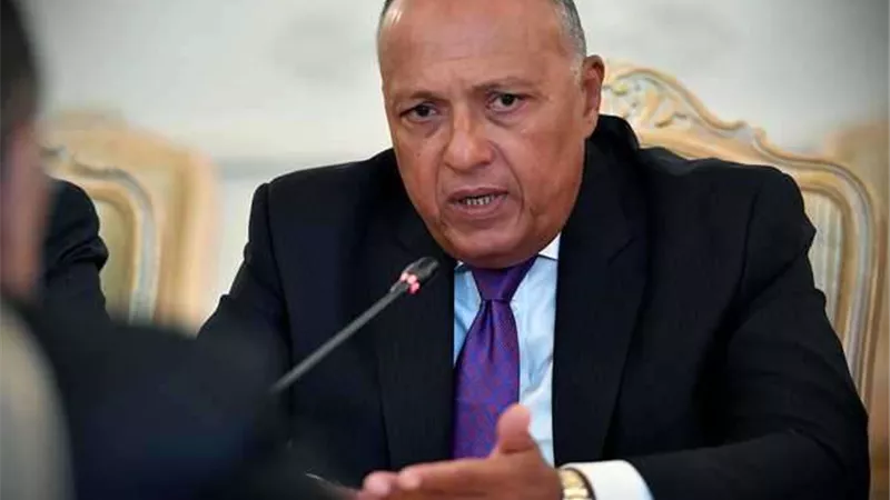 شكري يتوجه لنيويورك لإعداد مشاركة السيسي بدورة الجمعية العامة للأمم المتحدة