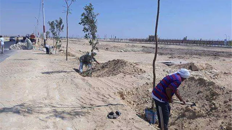 استمرار حملات النظافة والتشجير وإزالة التعديات بيوسف الصديق بالفيوم