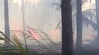 السيطرة علي حريق بمحل كشري مشهور ببنها
