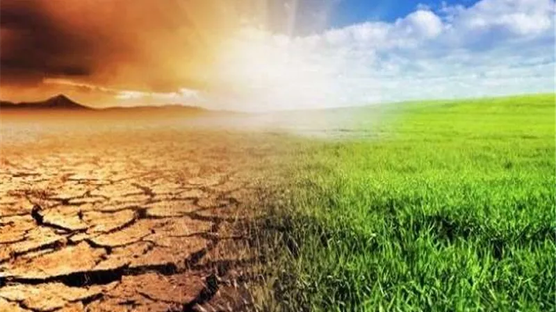 أستاذ مناخ: تغير المناخ قد يتسبب في غرق الإسكندرية والدلتا