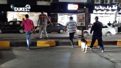 بالصور.. 