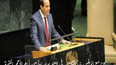 في حب الوطن.. الجالية المصرية بأمريكا تدعو لتنظيم مظاهرة 