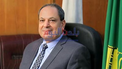 تحرير 51 محضرا للمخابز البلدية بسمالوط