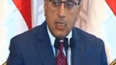 مدبولي: تعيين عبد العزيز الشريف قائمًا بأعمال رئيس هيئة تنمية الصادرات لمدة عام