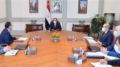 الرئيس السيسي يوجه بإجراء المراجعة الدقيقة المنتظمة لكافة الأعمال الفنية الخاصة بمبادرة حياة كريمة لتطوير الريف المصرى