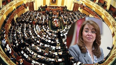 برلمانية تتقدم بطلب إحاطة ضد 