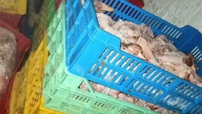 الجيزة تضبط  3,2 طن لحوم غير صالحة للإستهلاك