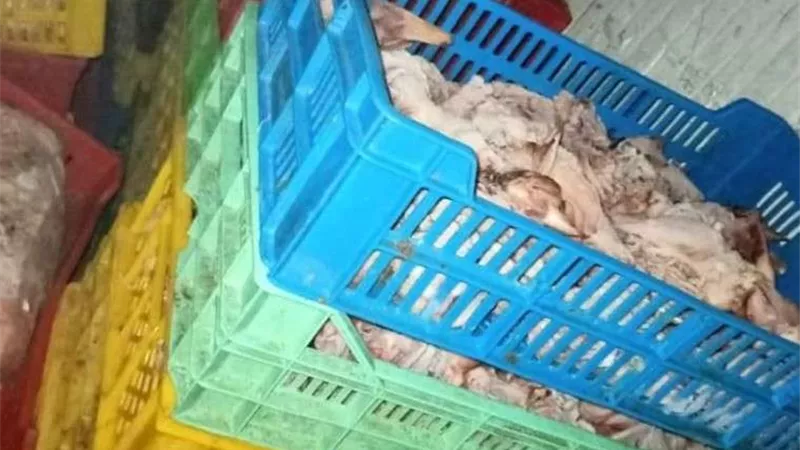 الجيزة تضبط  3,2 طن لحوم غير صالحة للإستهلاك