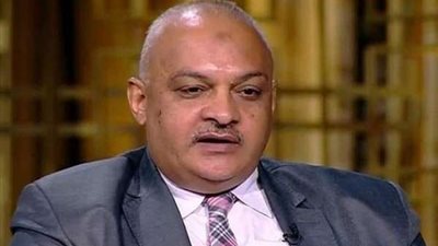 برلماني: الشعب انتفض لمواجهة أعداء الوطن