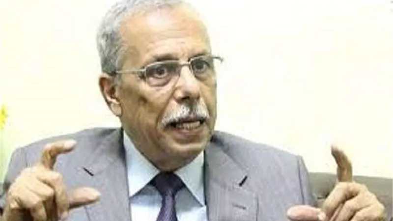 محمود منصور: احتشاد الآلاف لدعم الدولة أفضل رد على دعاة الفوضى