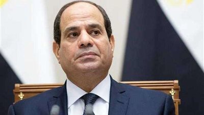 فيديو.. الرئيس يوجه بإصلاحات شاملة لقطاع الأعمال واستغلال الأصول
