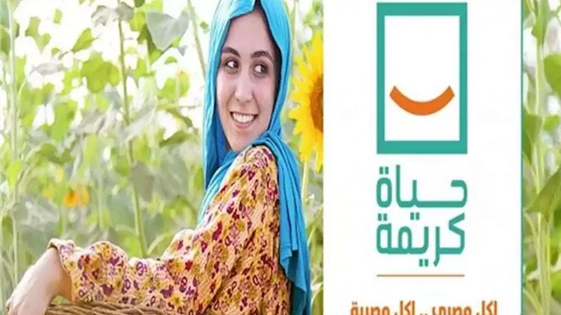 المكتب التنفيذي لمحافظة الإسماعيلية يجتمع لاستعراض موقف المرافق ضمن حياة كريمة