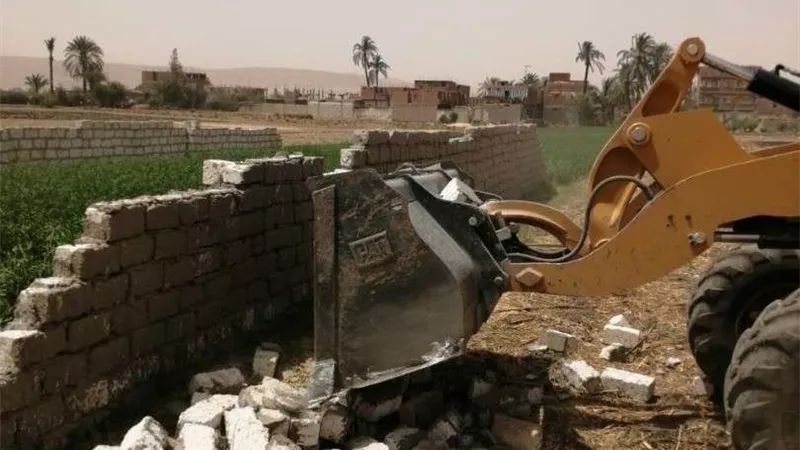 إزالة التعديات على الأراضي الزراعية وأملاك الدولة بالشرقية