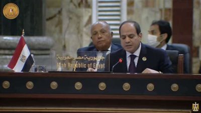 الرئيس السيسي لـ