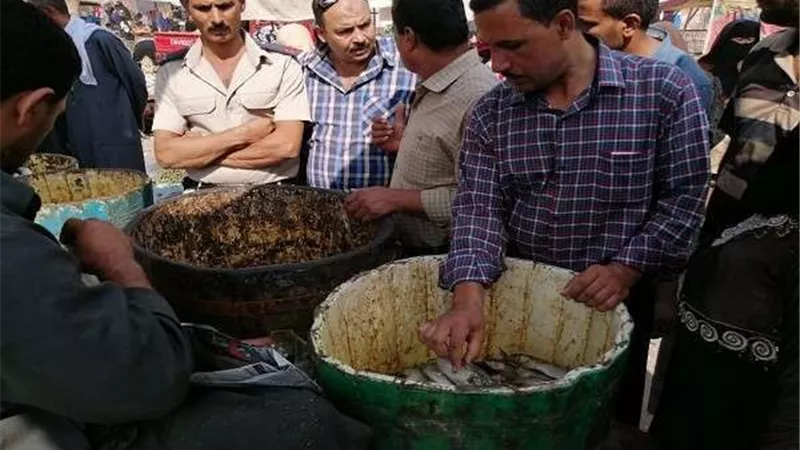 صحة الشرقية: تغلق 28 منشأة غذائية وإعدام أكثر من طن أسماك فاسدة