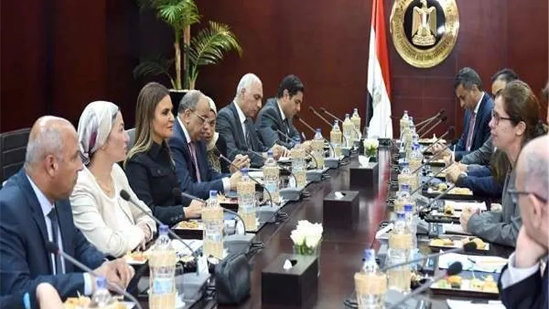 وزيرة الاستثمار :اشتراط مراعاة البعد البيئى في كافة المشروعات التنموية والاستثمارية
