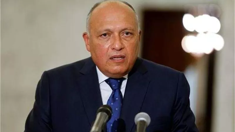 سامح شكري يلتقي وزيرة الخارجية السوداني